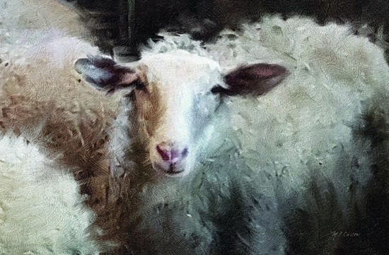 Sheep's Flock <br/> Marie Elaine Cusson