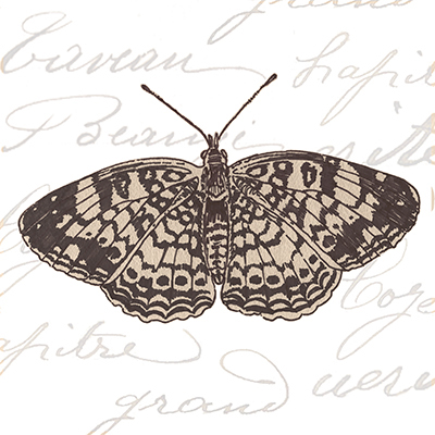 Butterfly Script IV <br/> Nikita Coulombe