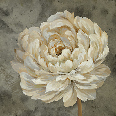Pearl Grey Floral Study III <br/> Pamela Gladding
