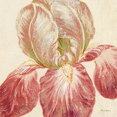 Floral Fresco III <br/> Pamela Gladding