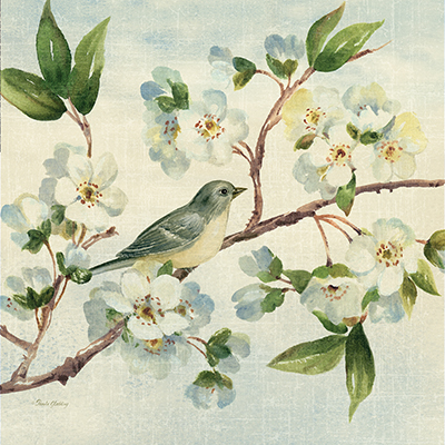 Cherry Bloom Bird II <br/> Pamela Gladding