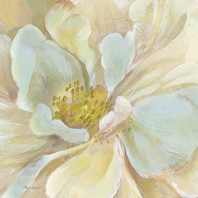 Classic Floral Study II <br/> Pamela Gladding