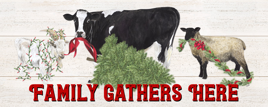 Christmas on the Farm-Family Gathers Here<br/>Tara Reed