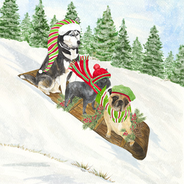 Dog Days of Christmas III-Sledding<br/>Tara Reed