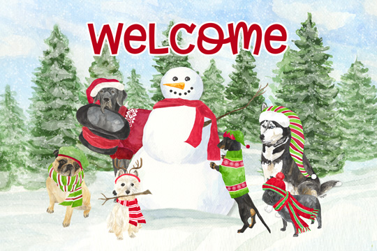 Dog Days of Christmas-Welcome<br/>Tara Reed