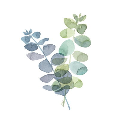 Natural Inspiration Blue Eucalyptus on White I<br/>Tara Reed