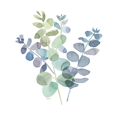 Natural Inspiration Blue Eucalyptus on White II<br/>Tara Reed