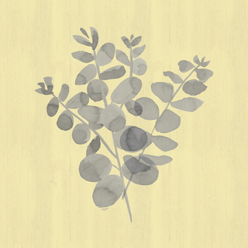 Natural Inspiration Eucalyptus gray & yellow II<br/>Tara Reed