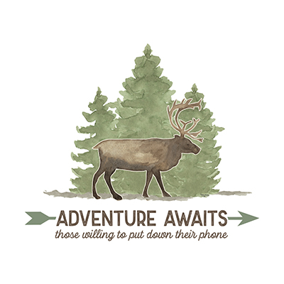 Lost in Woods II-Adventure Awaits <br/> Tara Reed