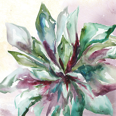 Succulent Watercolor II<br/>Tre Sorelle Studios