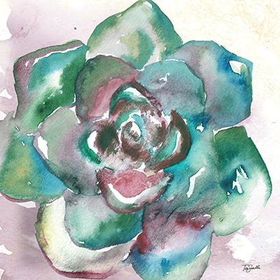 Succulent Watercolor IV<br/>Tre Sorelle Studios