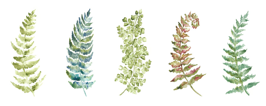 Botanical Ferns Panel<br/>Tre Sorelle Studios