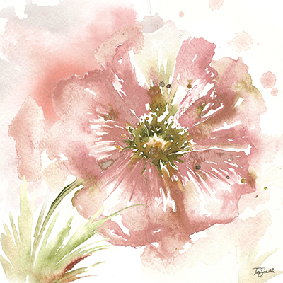 Blush Watercolor Poppy I<br/>Tre Sorelle Studios