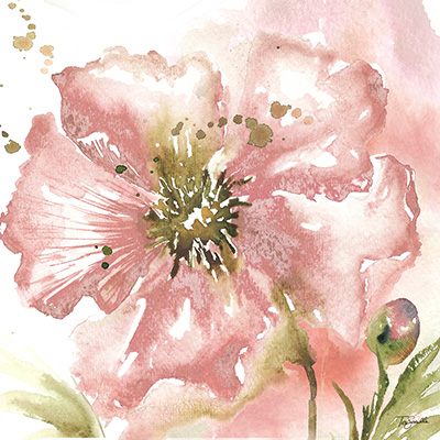 Blush Watercolor Poppy II<br/>Tre Sorelle Studios