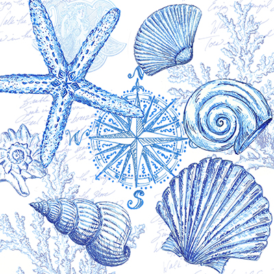 Coastal Sketchbook Shell Toss <br/> Tre Sorelle Studios