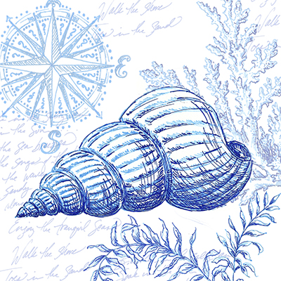 Coastal Sketchbook-Sea Shell<br/>Tre Sorelle Studios