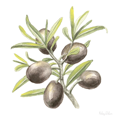 Olive and Gold VIII<br/>New Images