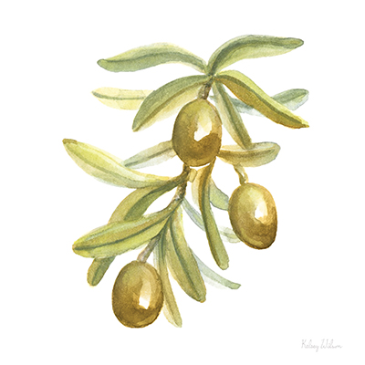 Olive and Gold IX<br/>New Images