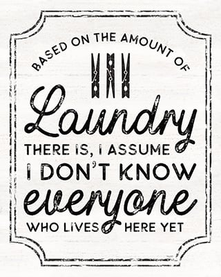 Laundry Art portrait I-Based on Amount <br/> Tara Reed