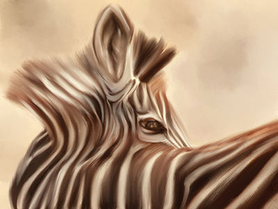 Zebra looking over shoulder <br/> Susan Michal