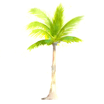 Tropical Icons Palm Tree<br/>Northern Lights