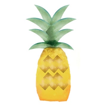 Tropical Icons Pineapple <br/> Northern Lights