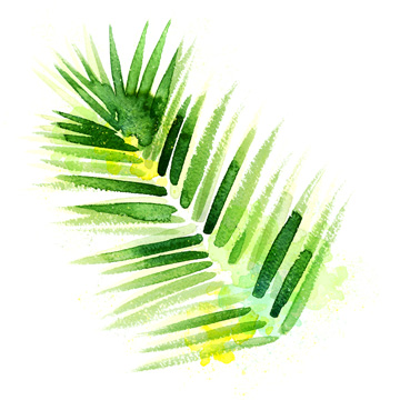 Tropical Icons Palm Frond<br/>Northern Lights