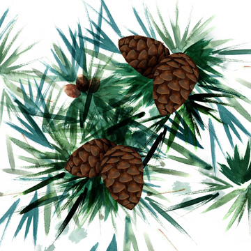 Christmas Hinterland II-Pine Cones <br/> Northern Lights