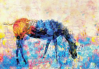 Mondrian Horse <br/> Lu Anne Tyrrell