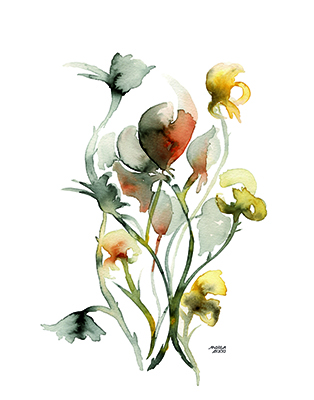 Watercolor Botanical III <br/> Andrea Bijou
