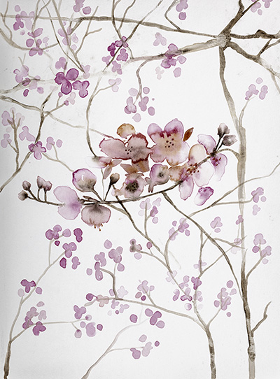 Cherry Blossoms <br/> Andrea Bijou