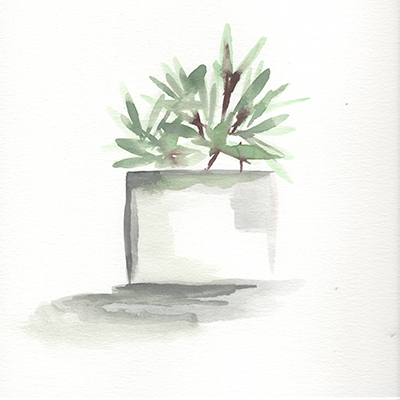 Watercolor Cactus Still Life IV<br/>Marcy Chapman