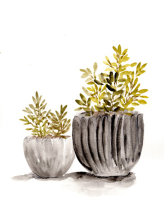 Gray Potted Plants <br/> Marcy Chapman