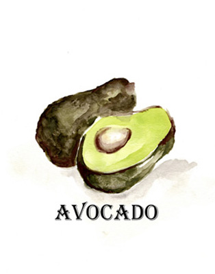 Veggie Sketch II-Avocado <br/> Marcy Chapman
