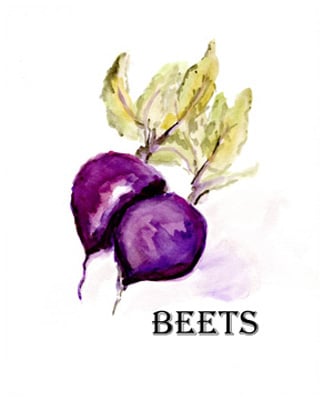 Veggie Sketch III-Beets <br/> Marcy Chapman