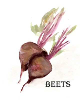 Veggie Sketch IV-Brown Beets <br/> Marcy Chapman