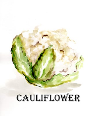 Veggie Sketch VI-Cauliflower <br/> Marcy Chapman