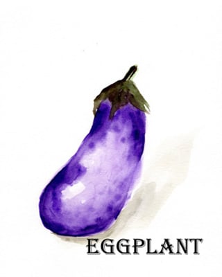 Veggie Sketch VII-Eggplant <br/> Marcy Chapman