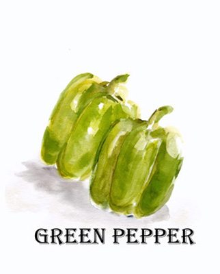 Veggie Sketch VIII-Green Pepper<br/>Marcy Chapman