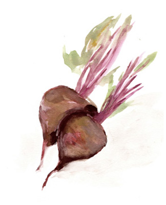 Veggie Sketch plain IV-Brown Beets <br/> Marcy Chapman