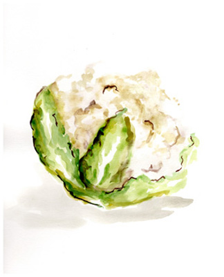 Veggie Sketch plain VI-Cauliflower <br/> Marcy Chapman
