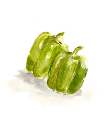 Veggie Sketch plain VIII-Green Pepper<br/>Marcy Chapman