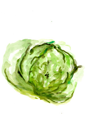 Veggie Sketch plain IX-Lettuce <br/> Marcy Chapman