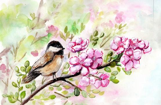 Spring Chickadee and Apple Blossoms <br/> Marcy Chapman