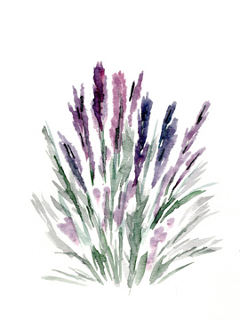 Lavender <br/> Marcy Chapman