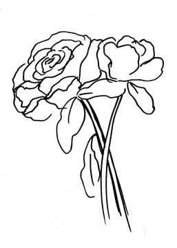 Hand Sketch Roses III <br/> Marcy Chapman