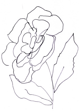 Hand Sketch Magnolia II <br/> Marcy Chapman