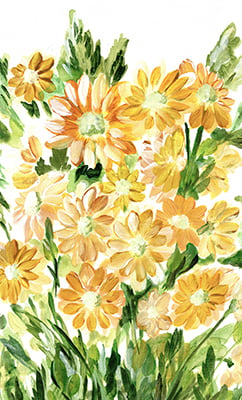 Daisies in Yellow<br/>Marcy Chapman