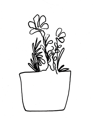 Hand Sketch Flowerpot I <br/> Marcy Chapman