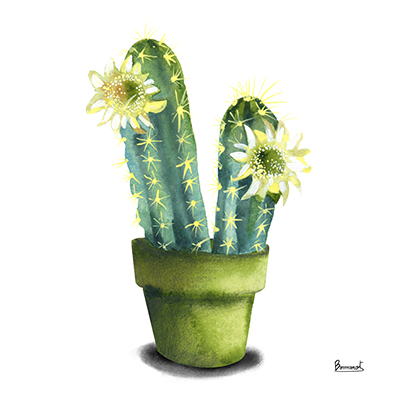 Cactus Flowers II<br/>Bannarot